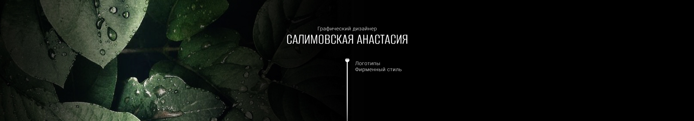 Anastasiya Salimovskaya's profile banner