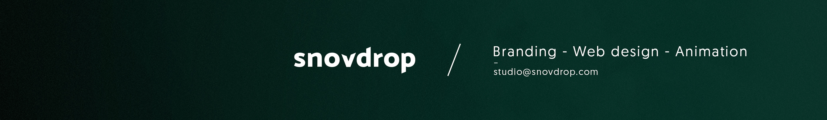 Snovdrop Studio's profile banner