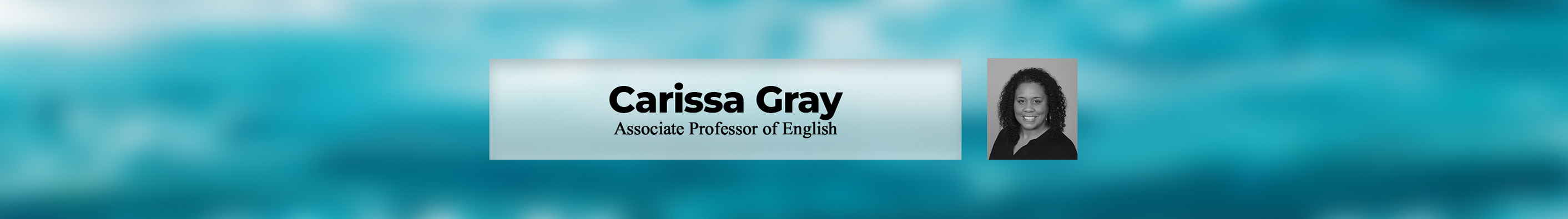 Carissa Gray's profile banner
