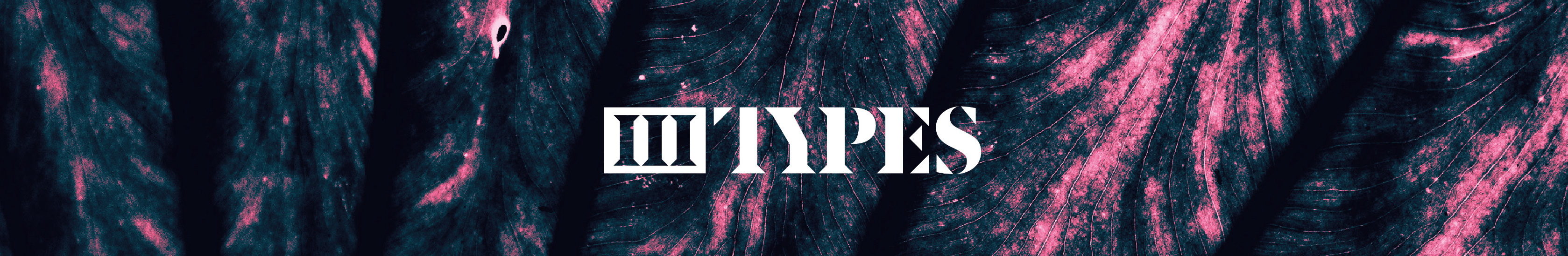 3Types Studio's profile banner