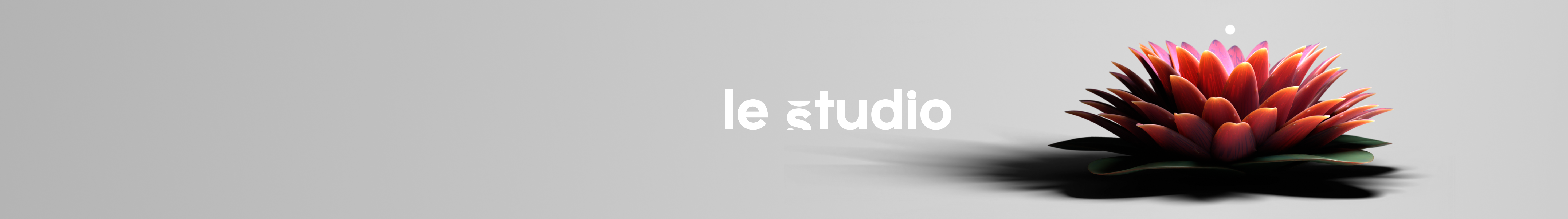 Le Studio's profile banner