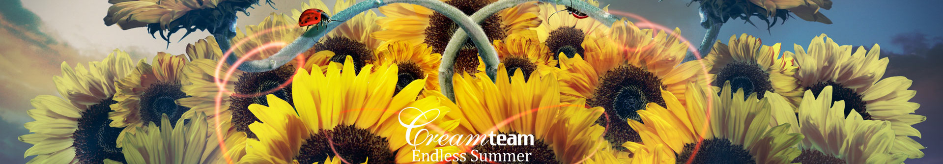 Creamteam B&ADS's profile banner