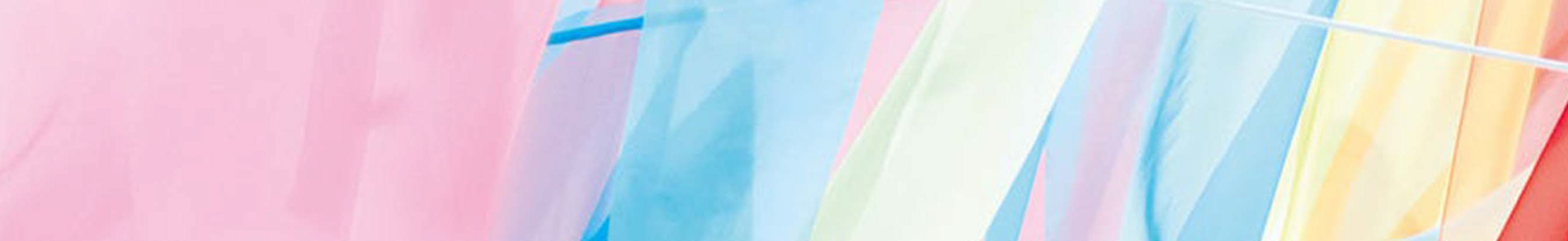 Banner del profilo di Lori xie