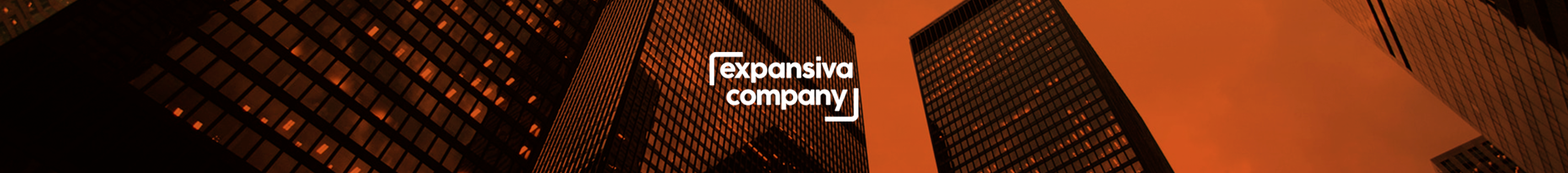 Expansiva Company's profile banner