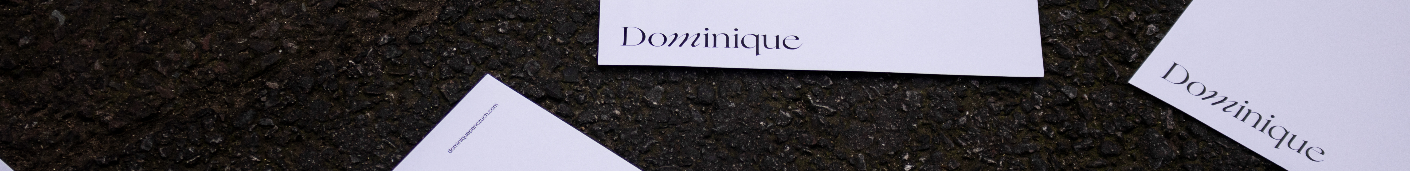 Dominique Panczuch's profile banner