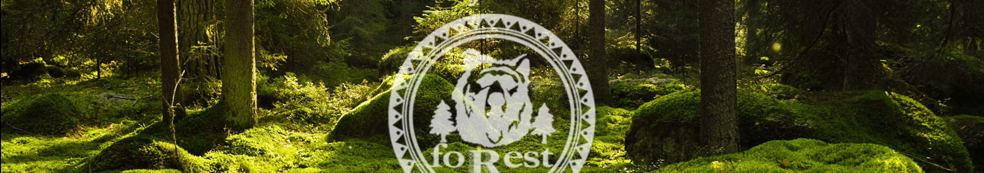 Forrest Home - Beata Misiejko's profile banner