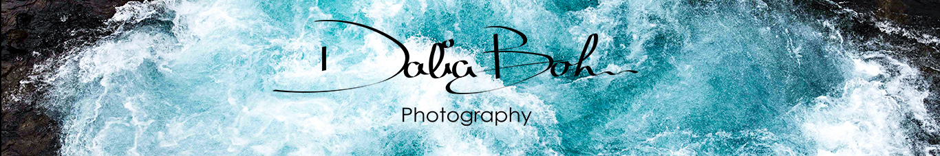 Dalia Bohn's profile banner