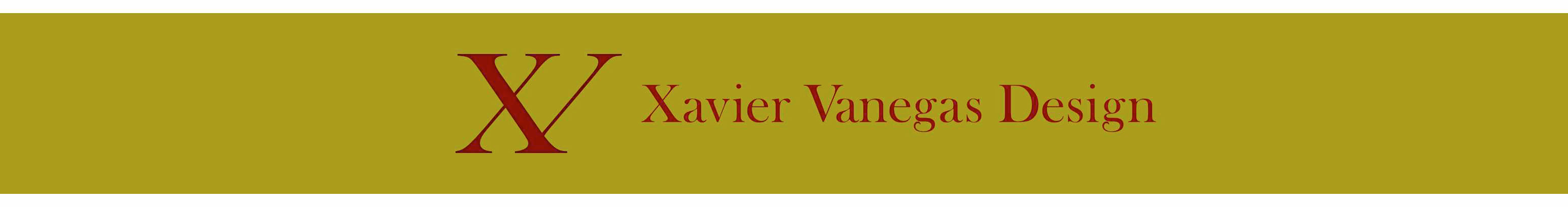 Banner del profilo di Xavier Vanegas