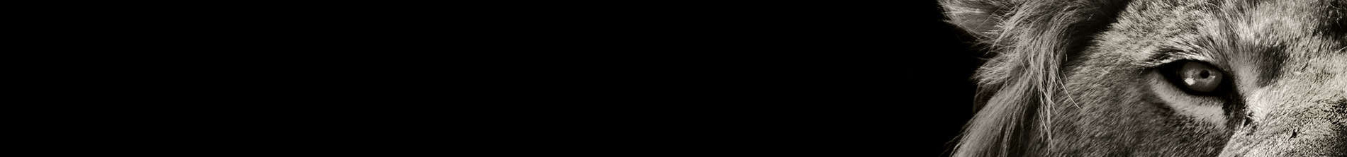 Banner de perfil de alain bonin