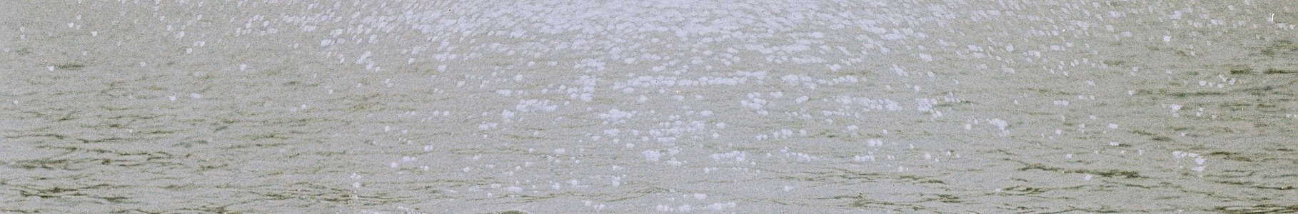 Banner de perfil de ilmira pulina