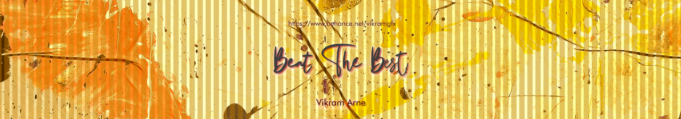Bannière de profil de Vikram Arne