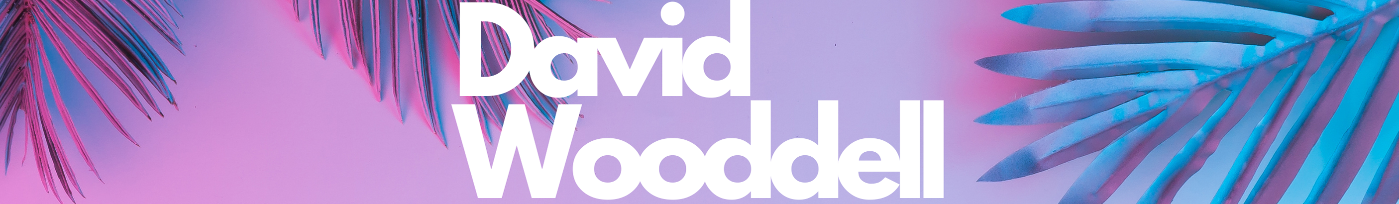 David Wooddell's profile banner
