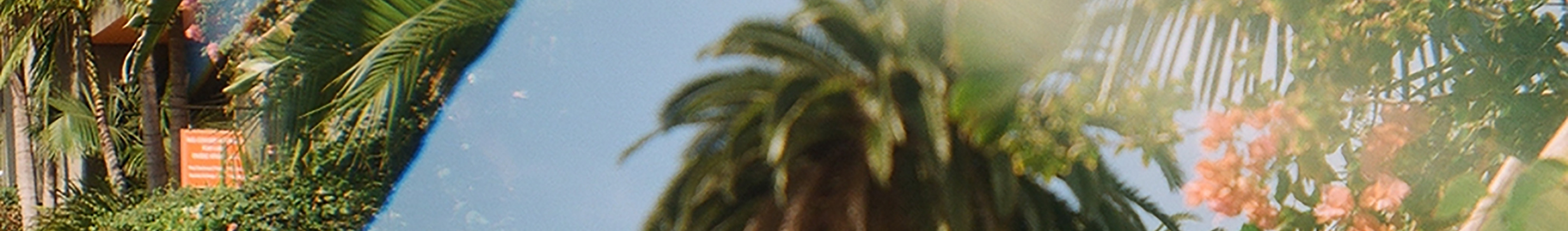 Kate Ferguson's profile banner