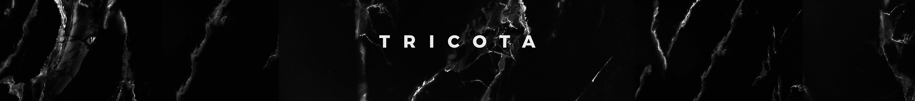 Tricota Agency's profile banner
