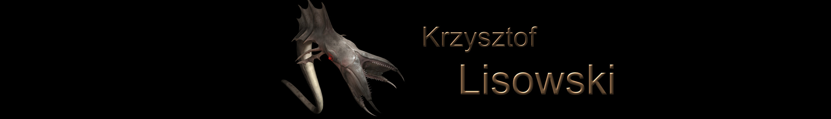 Krzysztof Lisowski's profile banner