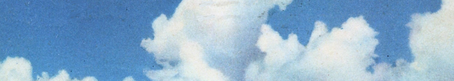 Banner de perfil de alaina colleen