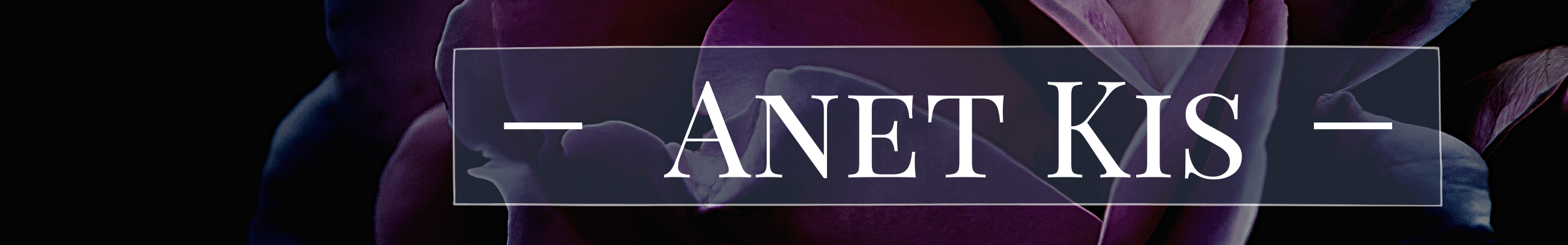 Anet Kis's profile banner