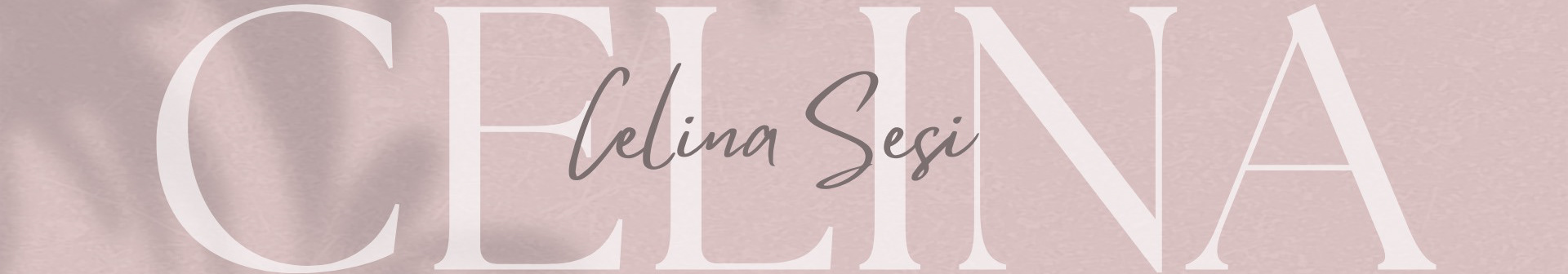 Celina Sesi's profile banner
