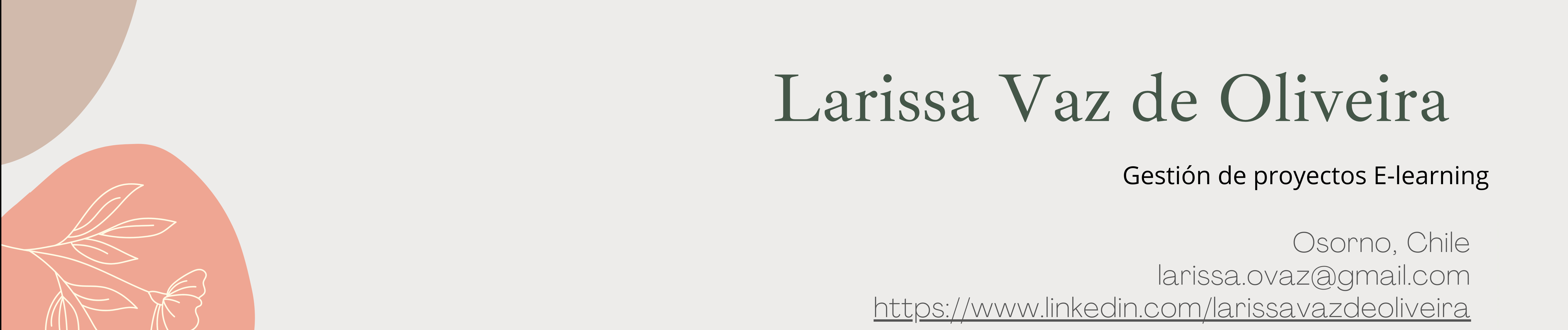 Larissa Vaz's profile banner