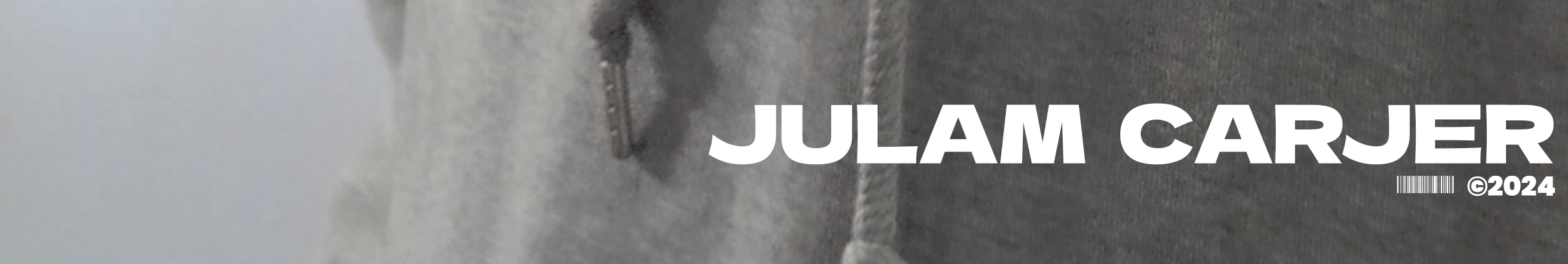 Julam Carjer's profile banner