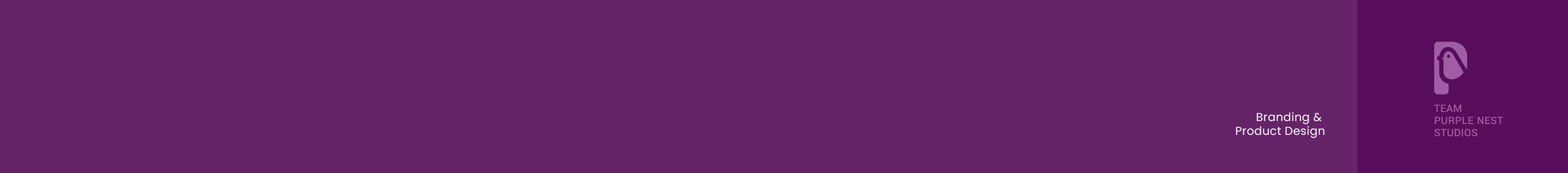 Team Purple Nest Studios's profile banner