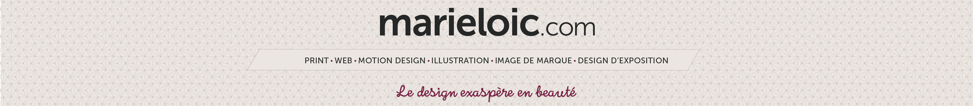 Marie-Loïc Sénamaud's profile banner