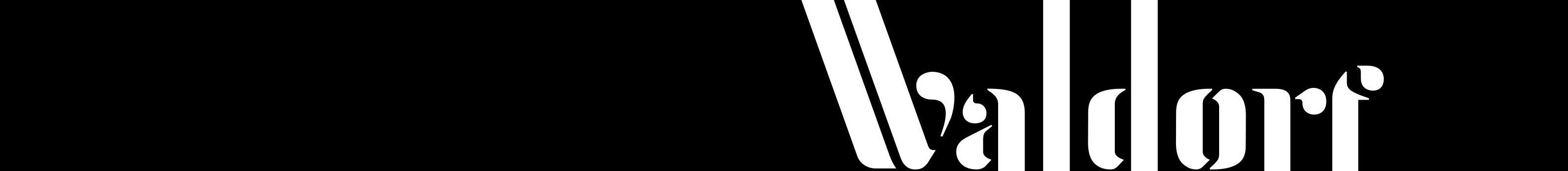 The Waldorf Agency's profile banner