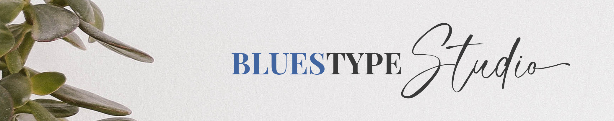 Bluestype Studio's profile banner