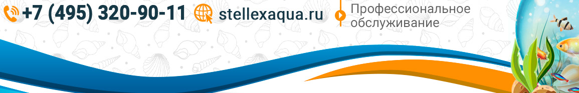 Stellex Aqua's profile banner