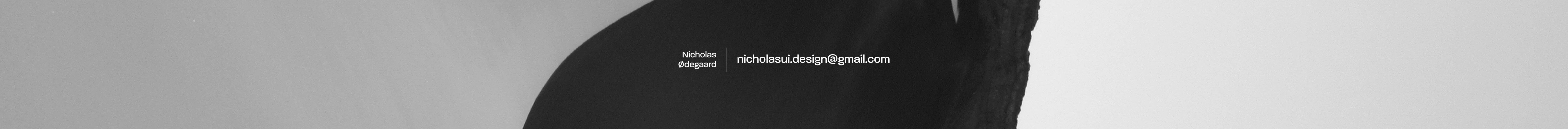 Nicholas Ergemla's profile banner