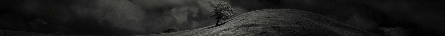 Nathan Wirth's profile banner