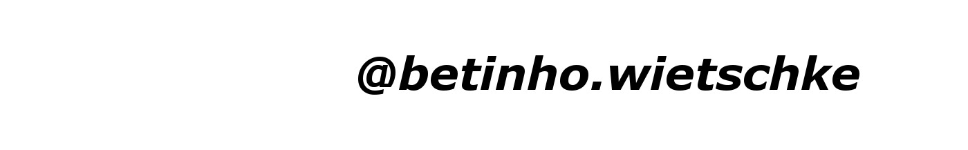 B3TIИHO WI3TSCHK3's profile banner