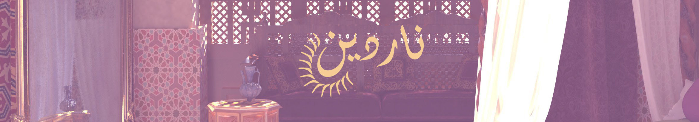 Nardeen Soliman's profile banner