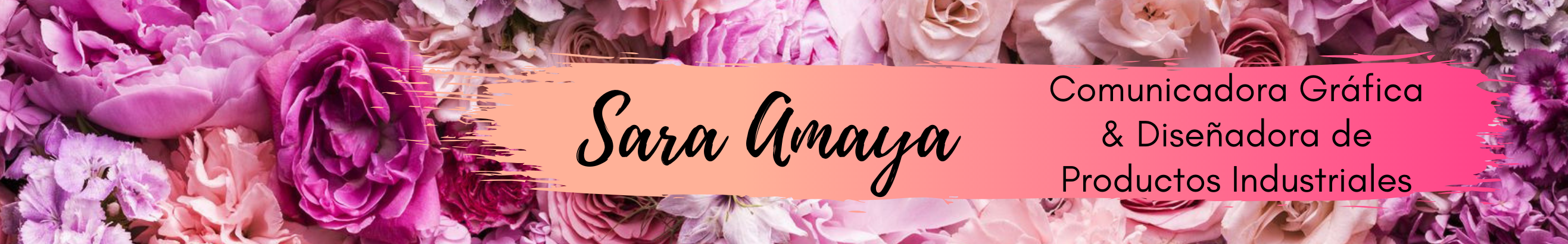 Sara Amaya's profile banner