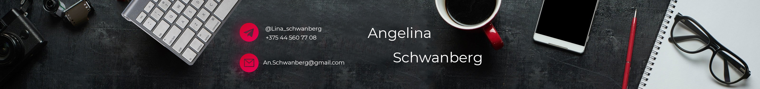 Lina Schwanberg's profile banner