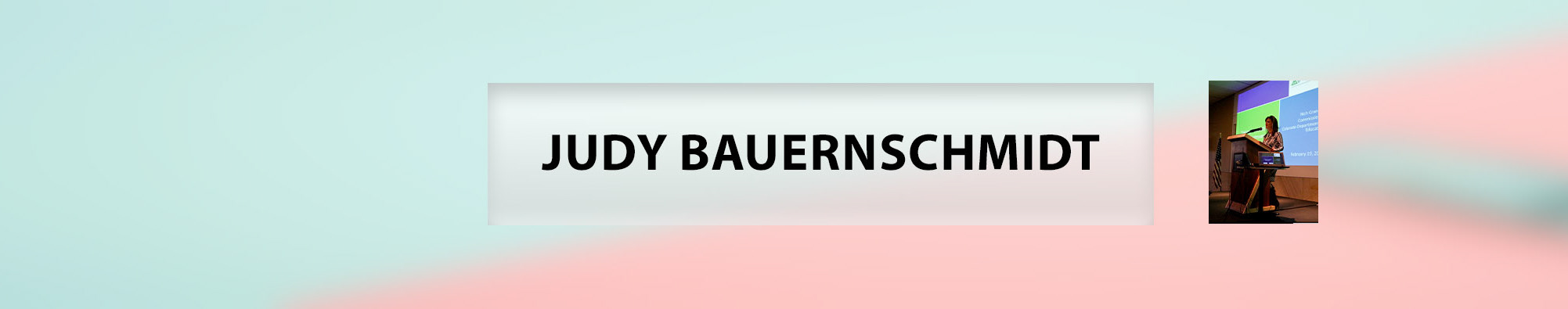 Judy Bauernschmidt's profile banner