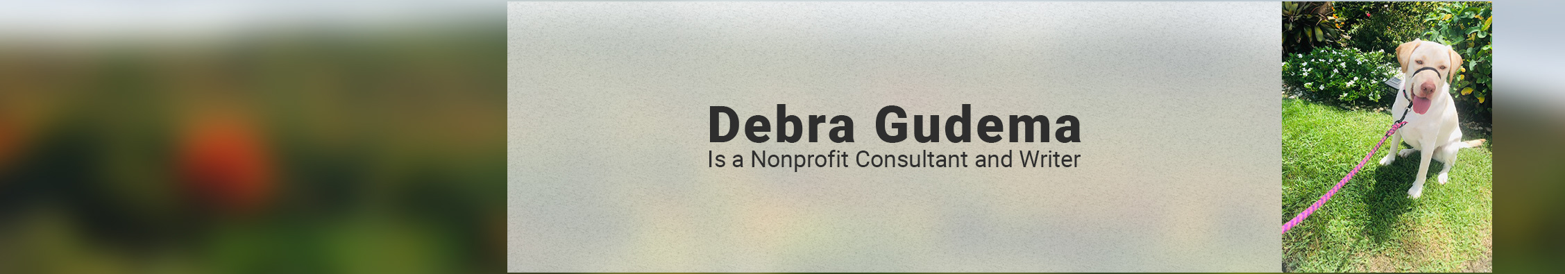 Debra Gudema's profile banner