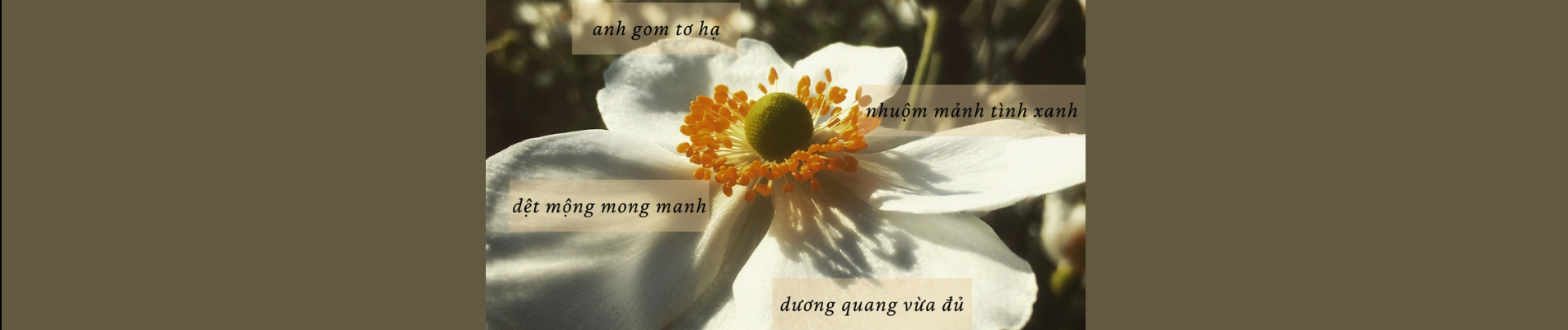 Banner profilu uživatele Dung Nguyen