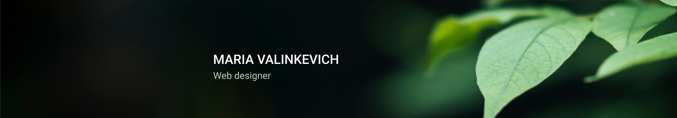 Мария Валинкевич's profile banner