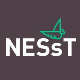 Logo of NESsT