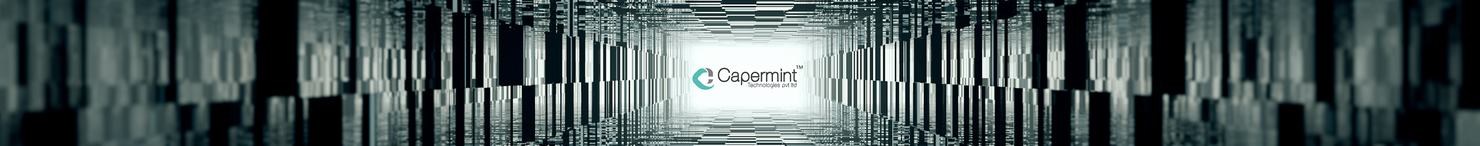Capermint Tech's profile banner