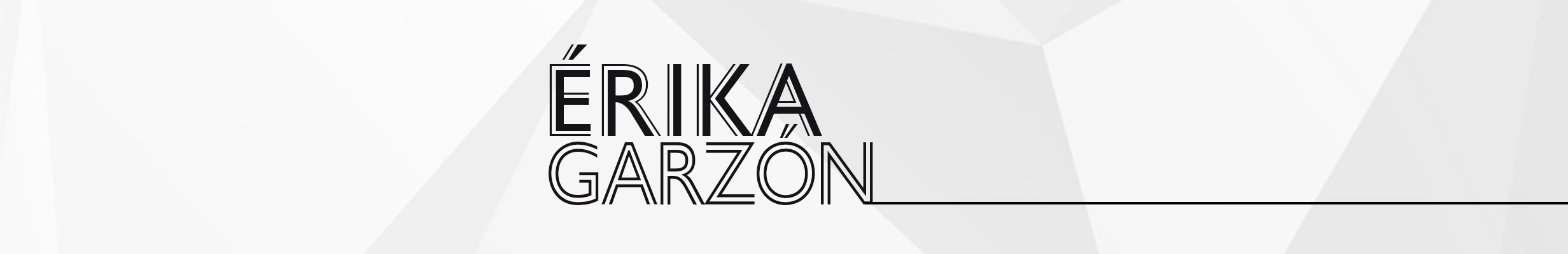 Erika Garzon's profile banner