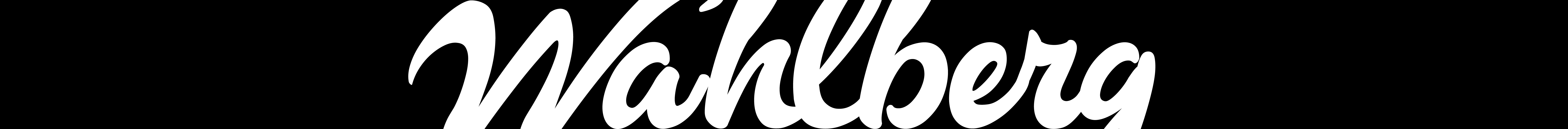 Profil-Banner von Niklas Wahlberg