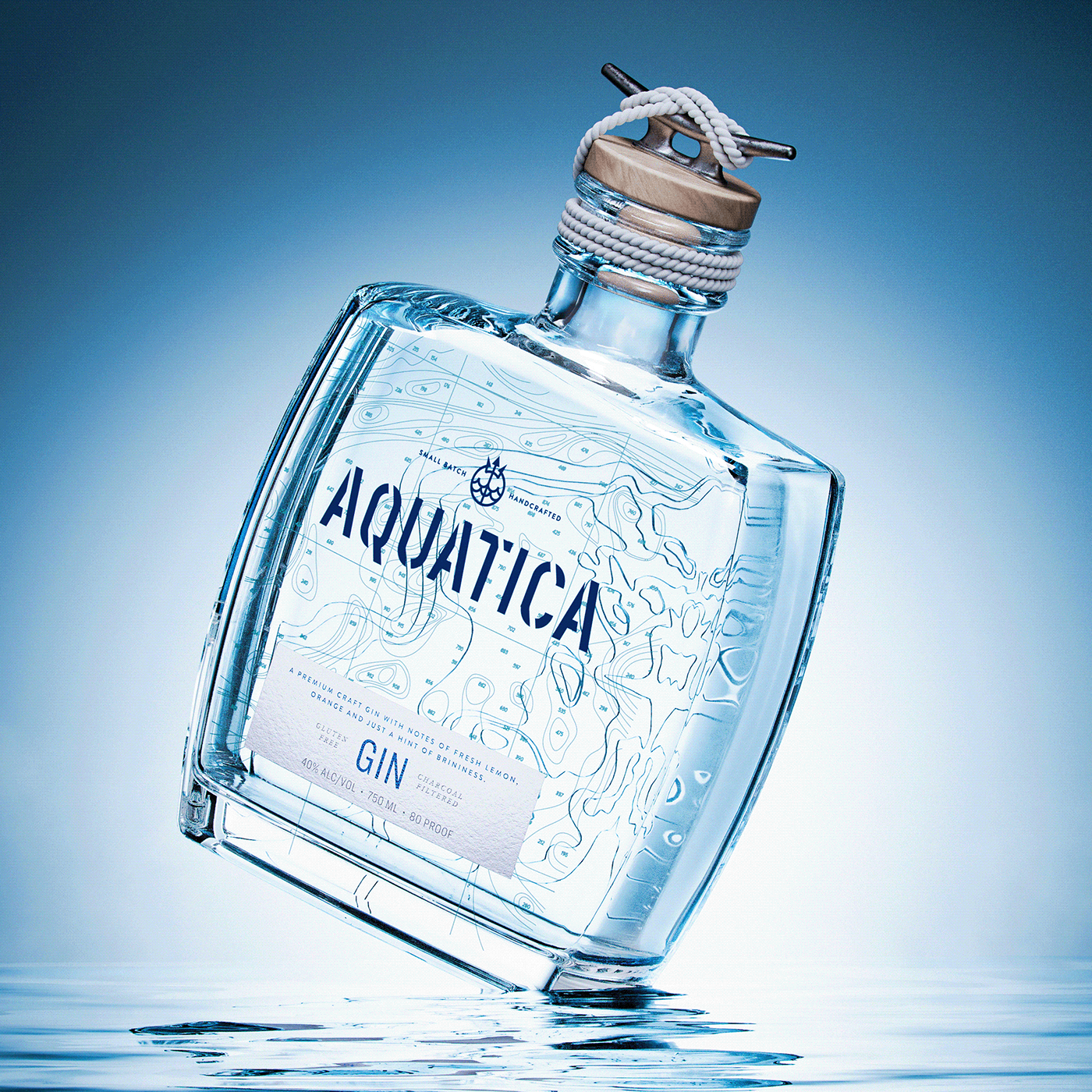 gin alcohol bottle Packaging Label Render visualization 3D luxury
