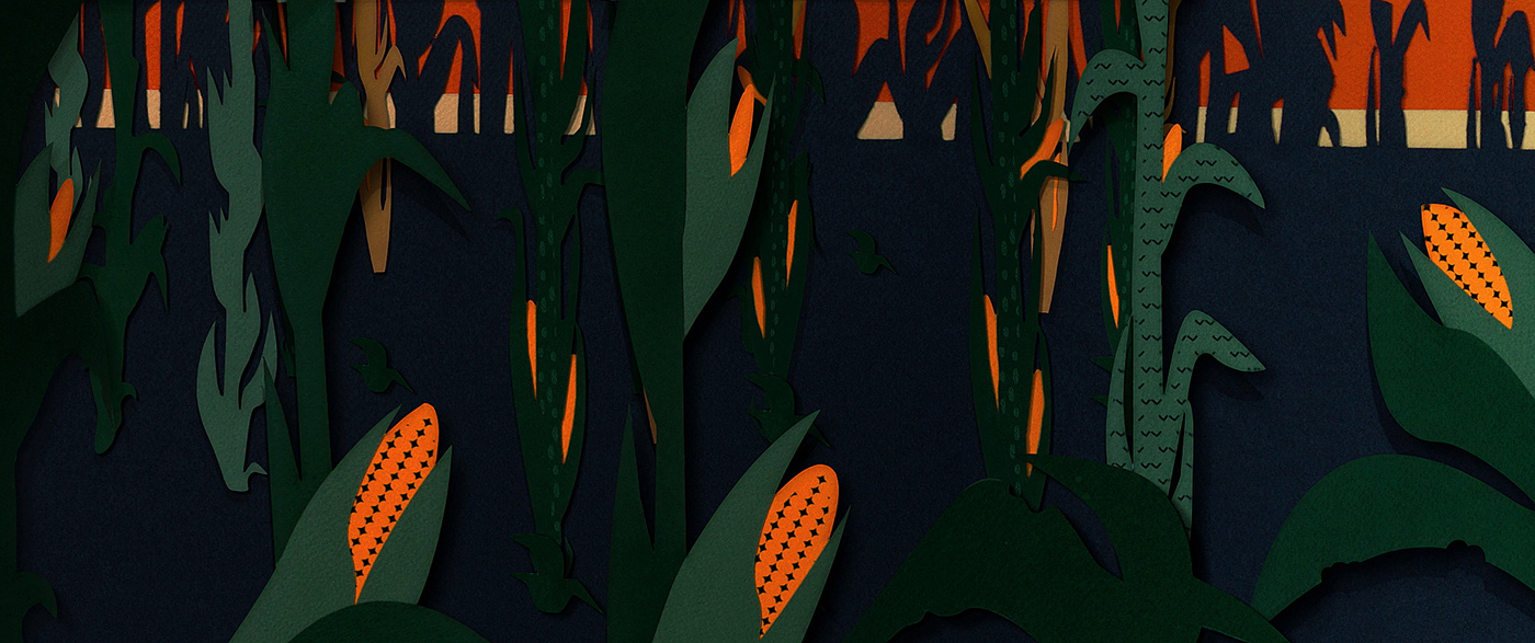 animation  paper bird forest stop motion yaguarete cut out kakuy FOX field