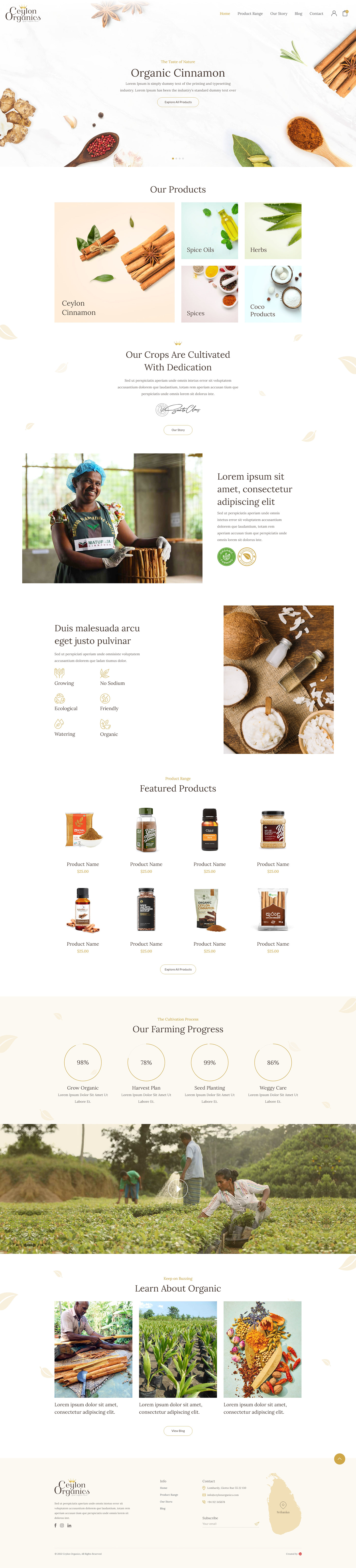 Website Design organic UI UX design Sri Lankan cinnamon home pahe design