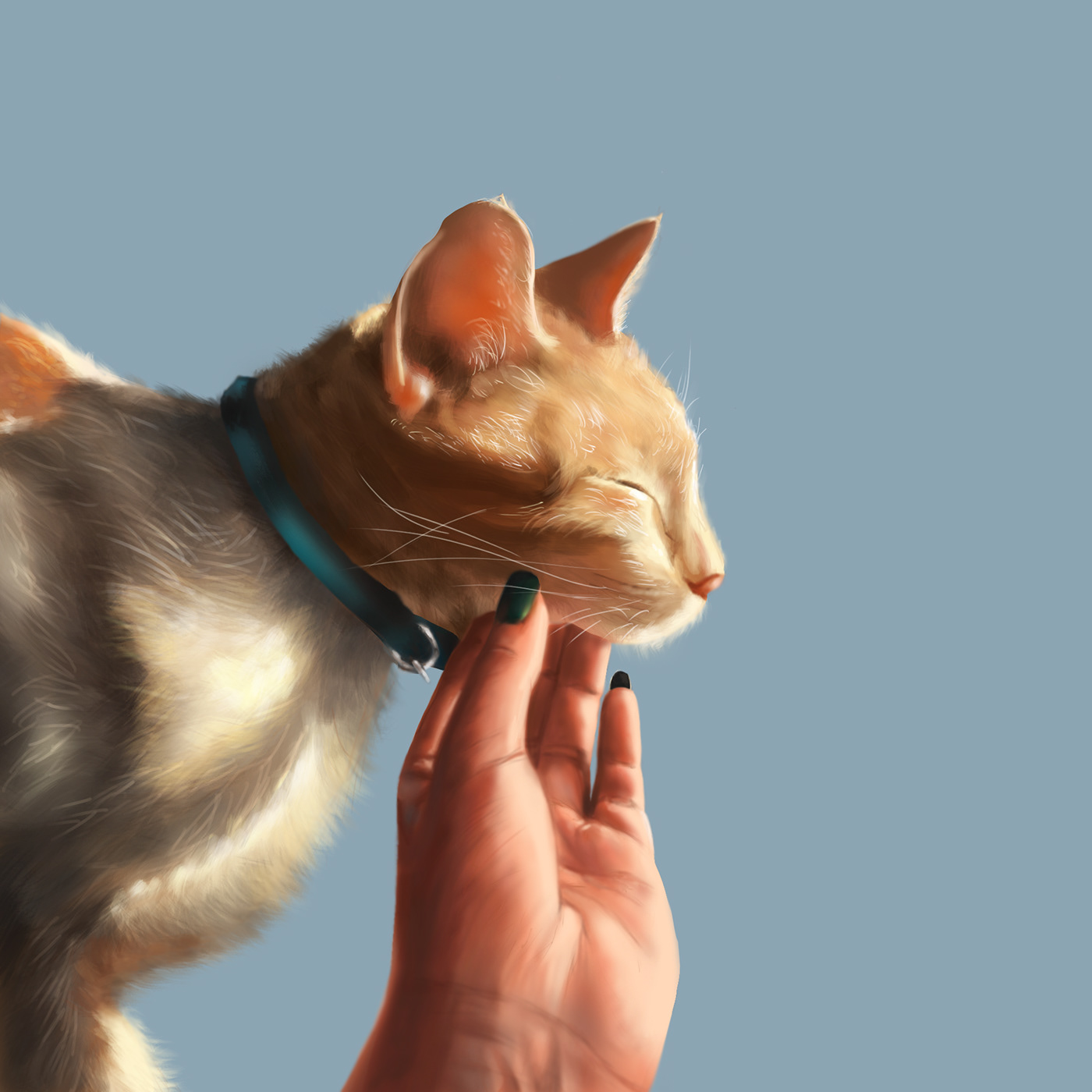 animals Cat digital painting ILLUSTRATION  orange Pet Pet Portrait portrait