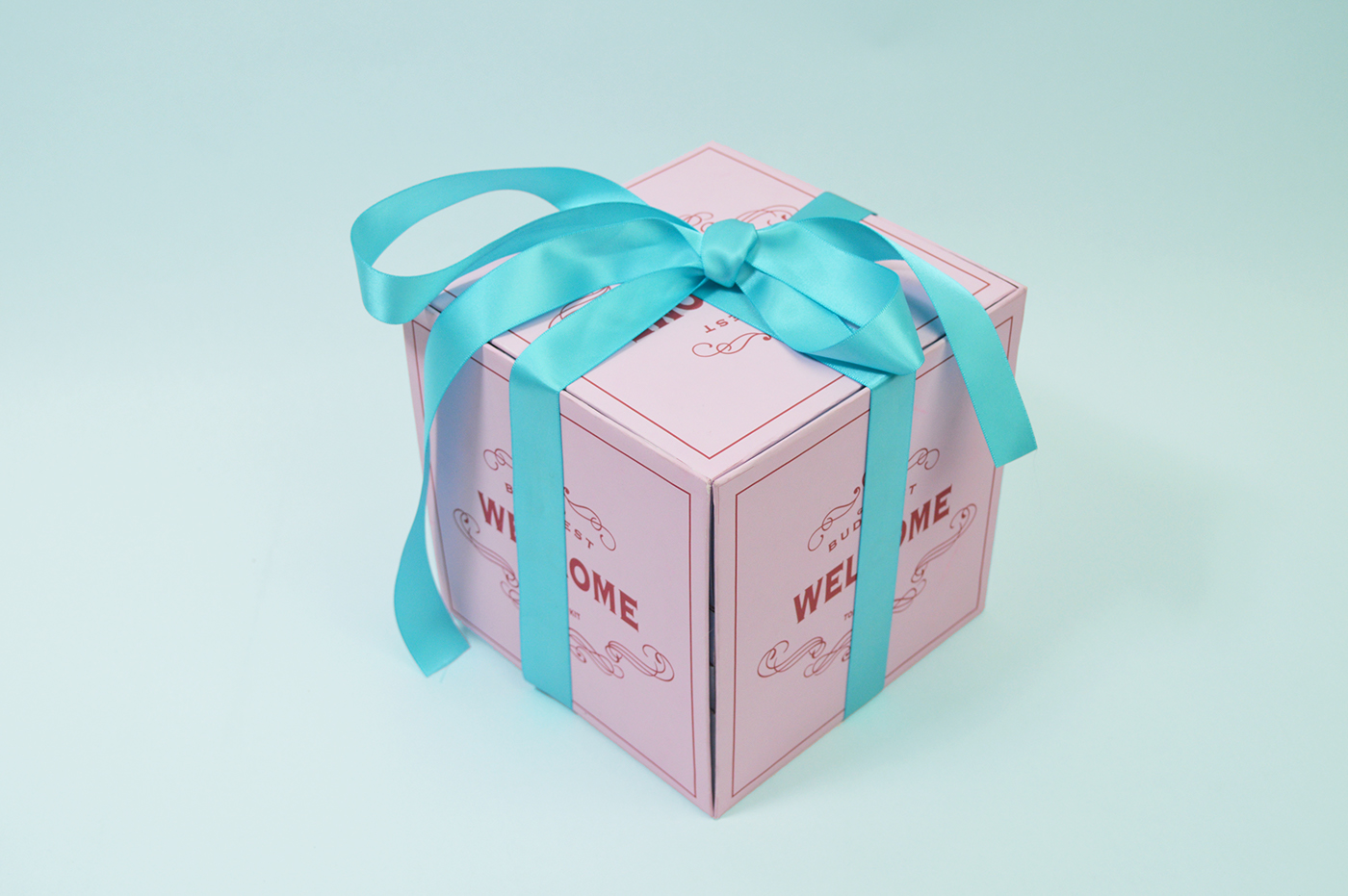 the grand budapest hotel Packaging hotel kit branding  movie