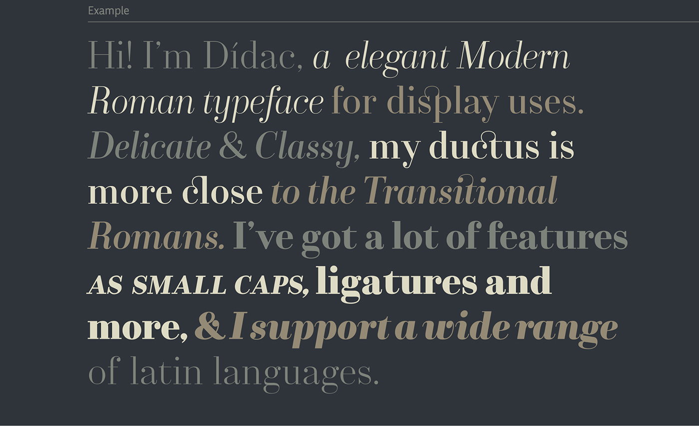 typography   Typeface font Dídac modern roman Didot elegant classy