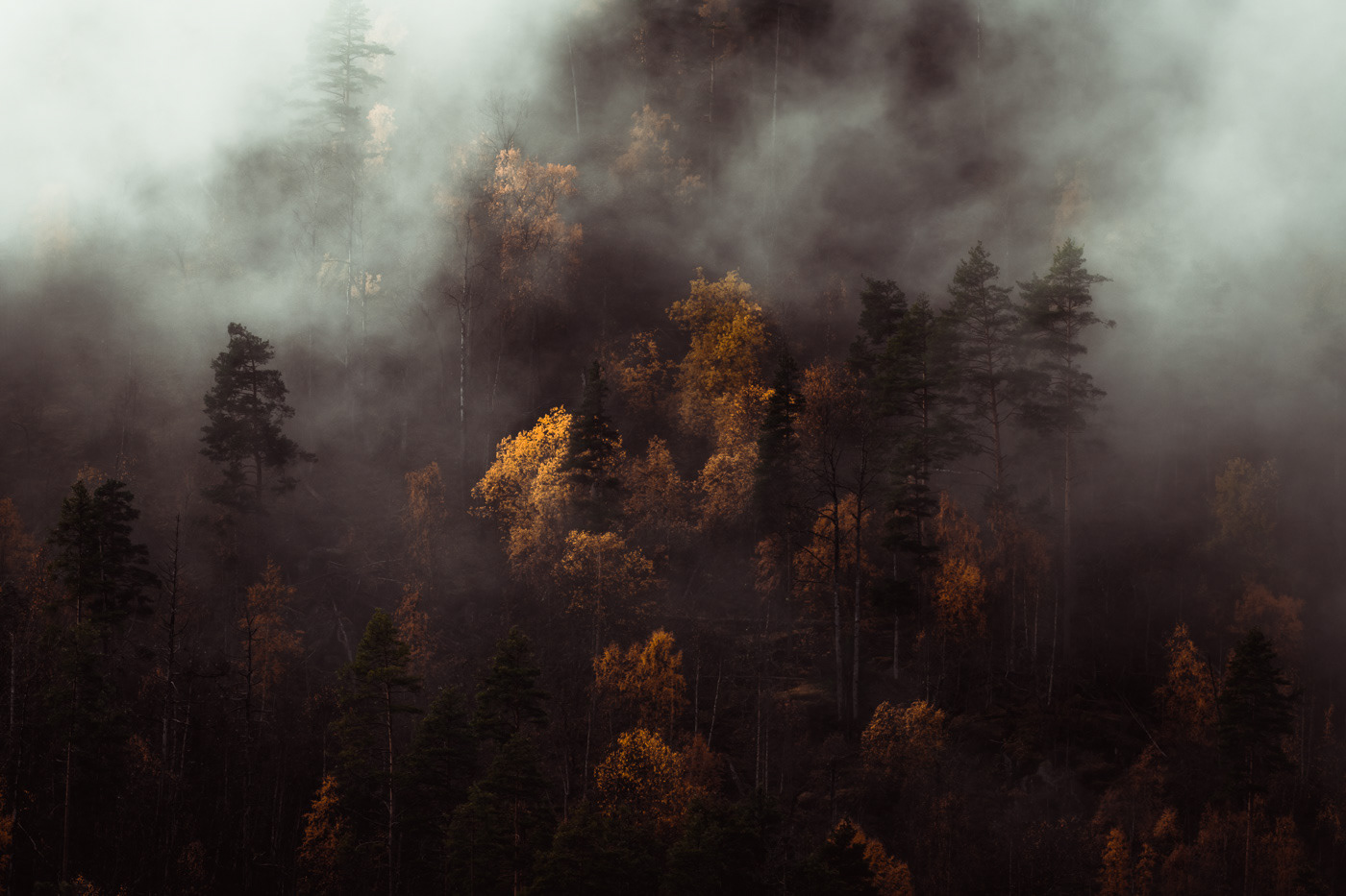 Moody forest fog mist waterfall norway mountains MORNING autumn Fall